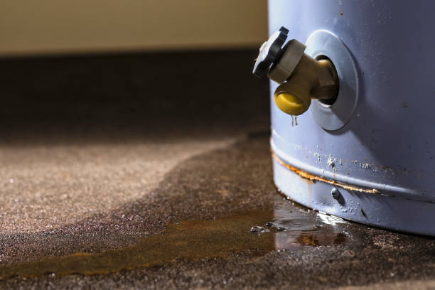 Best Ceiling water damage repair  in Palm Springs North, FL