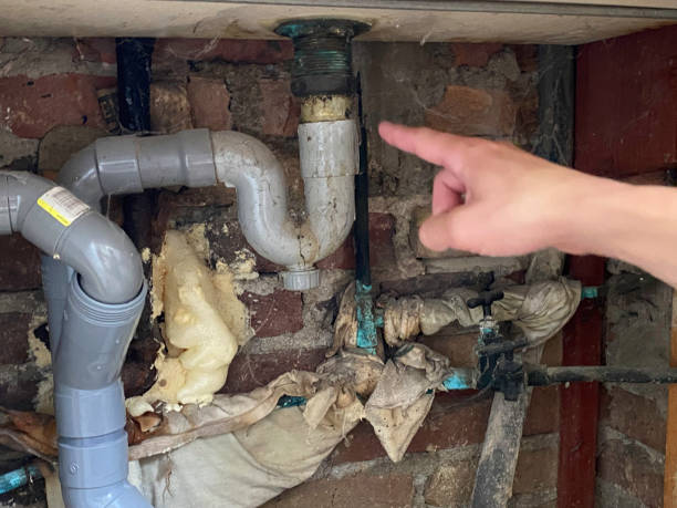 Best Commercial water damage restoration  in Palm Springs North, FL